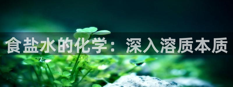 威九国际网站官网
