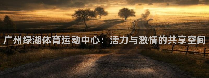 球王会体育：广州绿湖体育运动中心：活力与激情的共享空间