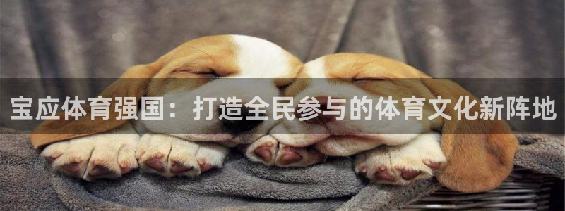 球王会体育：宝应体育强国：打造全民参与的体育文化新阵地
