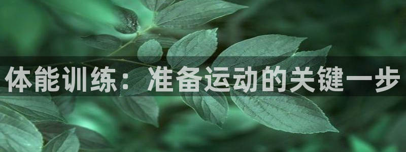 球王会体育：体能训练：准备运动的关键一步