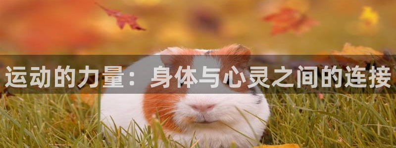 球王会体育：运动的力量：身体与心灵之间的连接