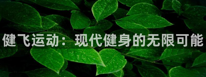 球王会体育：健飞运动：现代健身的无限可能