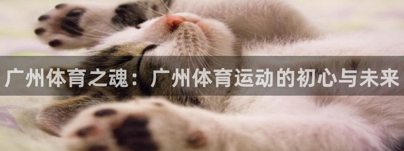 球王会体育：广州体育之魂：广州体育运动的初心与未来