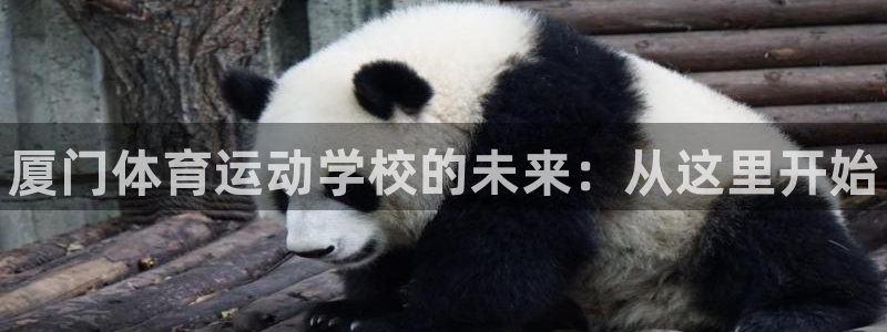 球王会体育：厦门体育运动学校的未来：从这里开始