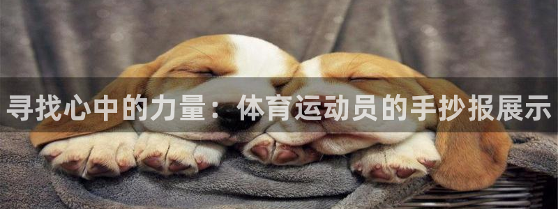 球王会体育：寻找心中的力量：体育运动员的手抄报展示