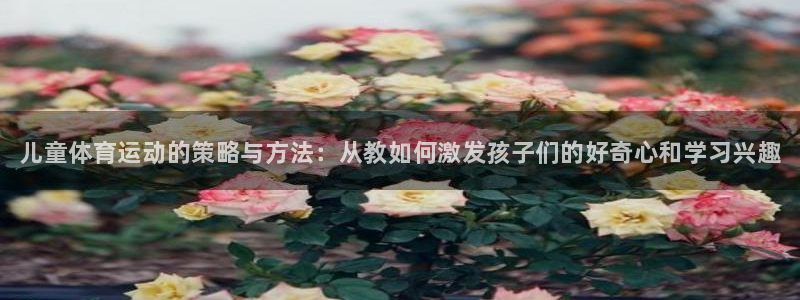 球王会体育：儿童体育运动的策略与方法：从教如何激发孩子们的好奇心和学习兴趣