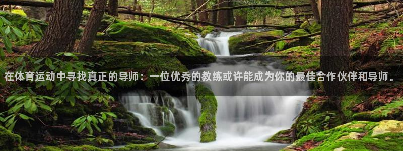 球王会体育：在体育运动中寻找真正的导师：一位优秀的教练或许能成为你的最佳合作伙伴和导师。