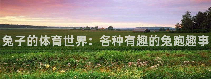球王会体育：兔子的体育世界：各种有趣的兔跑趣事