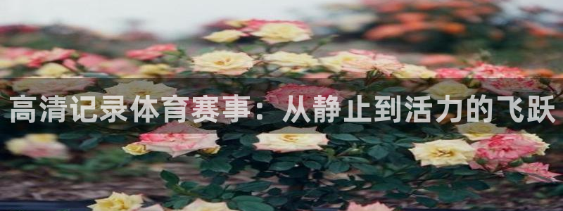 球王会体育：高清记录体育赛事：从静止到活力的飞跃