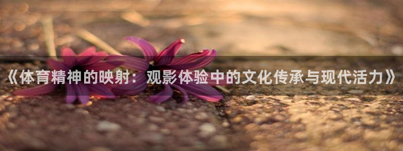 球王会体育：《体育精神的映射：观影体验中的文化传承与现代活力》