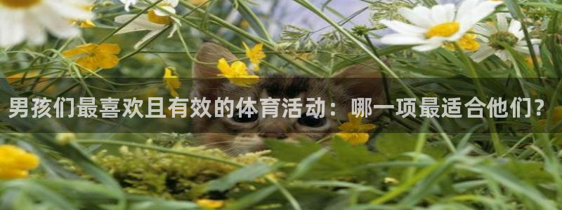 球王会体育：男孩们最喜欢且有效的体育活动：哪一项最适合他们？