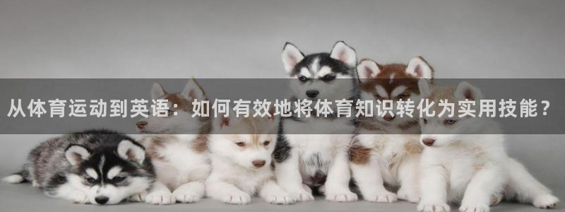 球王会体育：从体育运动到英语：如何有效地将体育知识转化为实用技能？