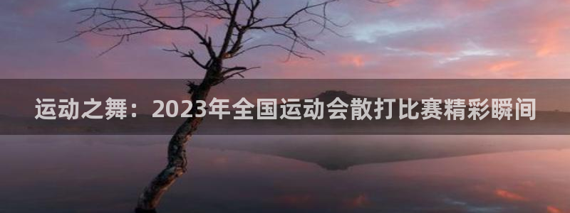 球王会体育：运动之舞：2023年全国运动会散打比赛精彩瞬间