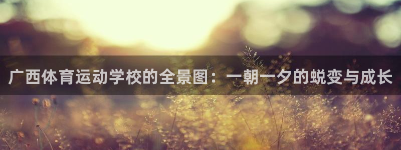 球王会体育：广西体育运动学校的全景图：一朝一夕的蜕变与成长