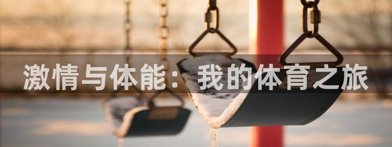 球王会体育：激情与体能：我的体育之旅