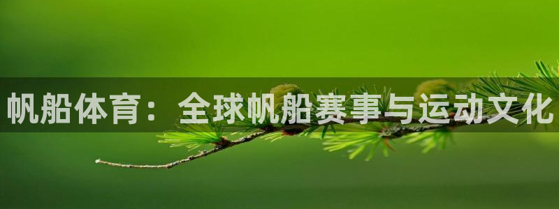 球王会体育：帆船体育：全球帆船赛事与运动文化