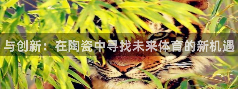 球王会体育：与创新：在陶瓷中寻找未来体育的新机遇