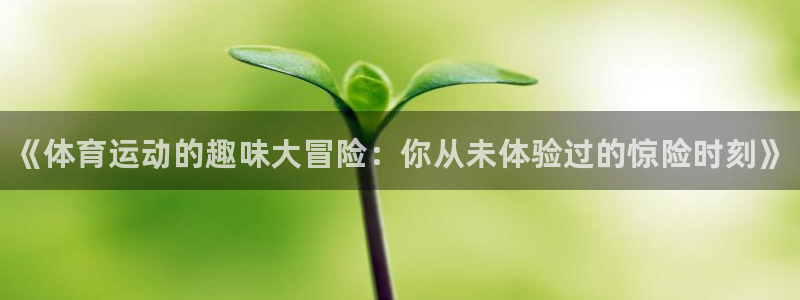 球王会体育：《体育运动的趣味大冒险：你从未体验过的惊险时刻》