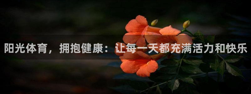 球王会体育：阳光体育，拥抱健康：让每一天都充满活力和快乐