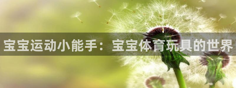 球王会体育：宝宝运动小能手：宝宝体育玩具的世界