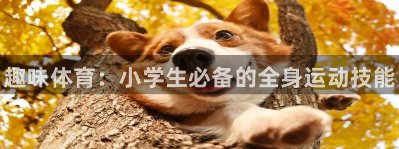 球王会体育：趣味体育：小学生必备的全身运动技能