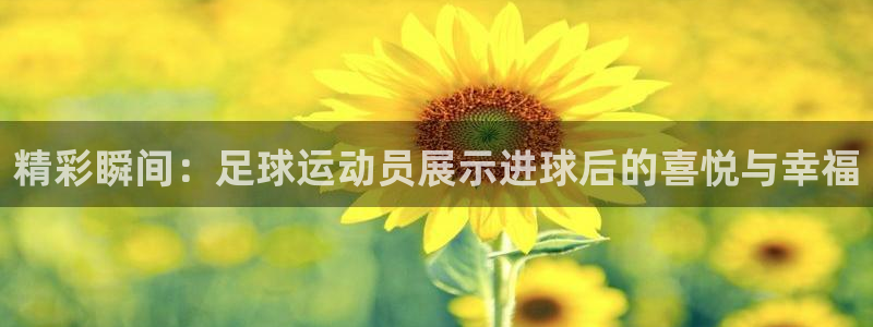 球王会体育：精彩瞬间：足球运动员展示进球后的喜悦与幸福