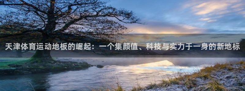 球王会体育：天津体育运动地板的崛起：一个集颜值、科技与实力于一身的新地标
