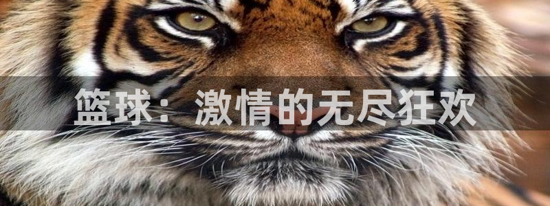 球王会体育：篮球：激情的无尽狂欢