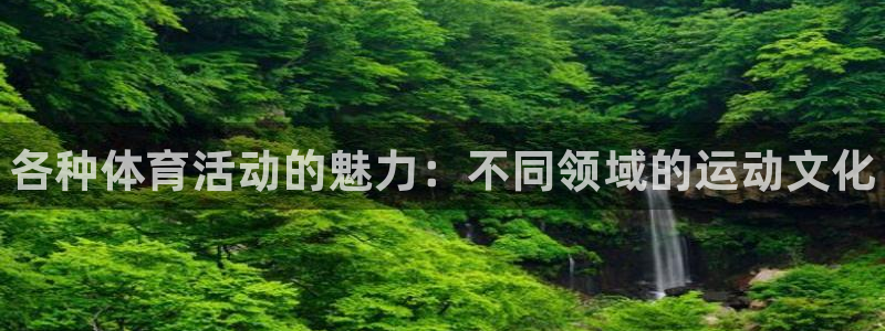 球王会体育：各种体育活动的魅力：不同领域的运动文化