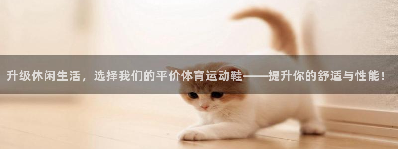 球王会体育：升级休闲生活，选择我们的平价体育运动鞋——提升你的舒适与性能！