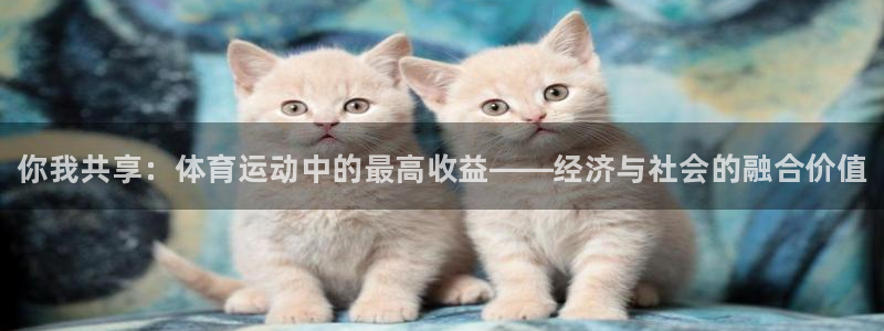 球王会体育：你我共享：体育运动中的最高收益——经济与社会的融合价值
