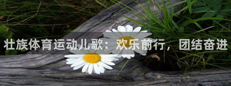 球王会体育：壮族体育运动儿歌：欢乐前行，团结奋进