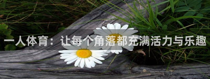 球王会体育：一人体育：让每个角落都充满活力与乐趣