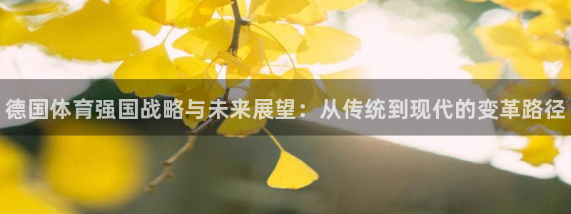 球王会体育：德国体育强国战略与未来展望：从传统到现代的变革路径