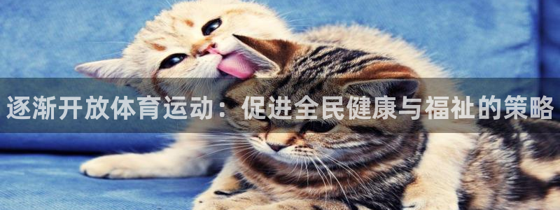 球王会体育：逐渐开放体育运动：促进全民健康与福祉的策略