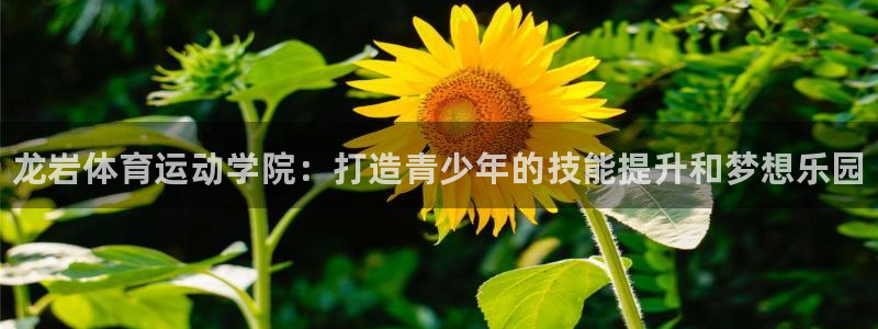 球王会体育：龙岩体育运动学院：打造青少年的技能提升和梦想乐园