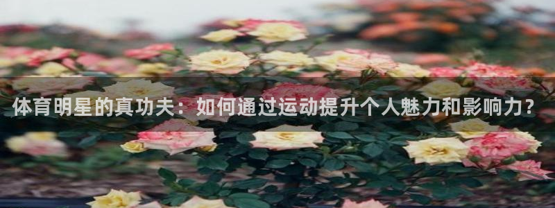 球王会体育：体育明星的真功夫：如何通过运动提升个人魅力和影响力？