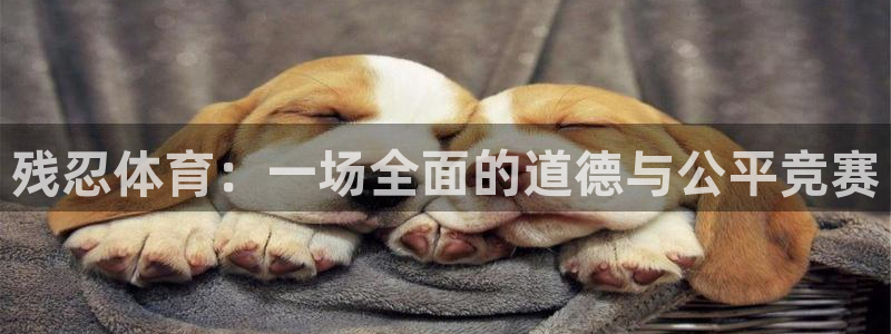 球王会体育：残忍体育：一场全面的道德与公平竞赛